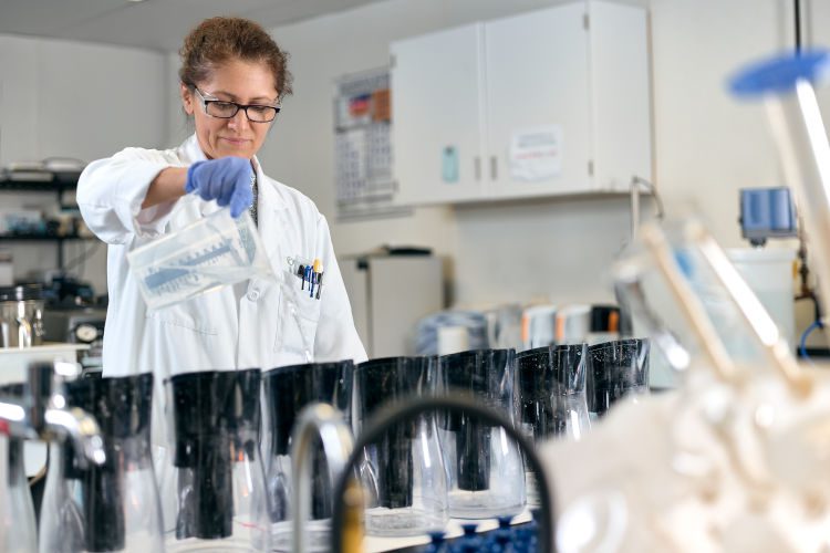 Female scientists working with different test tubes